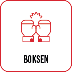Boksen | icon | sportschool | Coronel Sports Huizen | 250x250