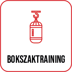 Bokszaktraining | icon | sportschool | Coronel Sports Huizen | 250x250