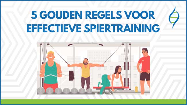 5 gouden regels voor effectieve spiertraining | Coronel Sports Huizen
